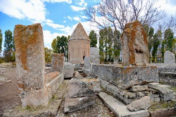Vanselçuklu (1)
