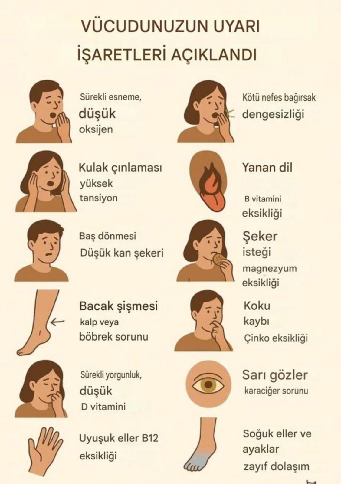 Vücudun Gizli Mesajları1