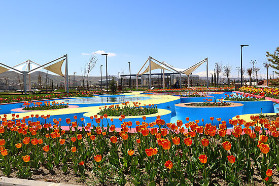 Yeşilerciş-1