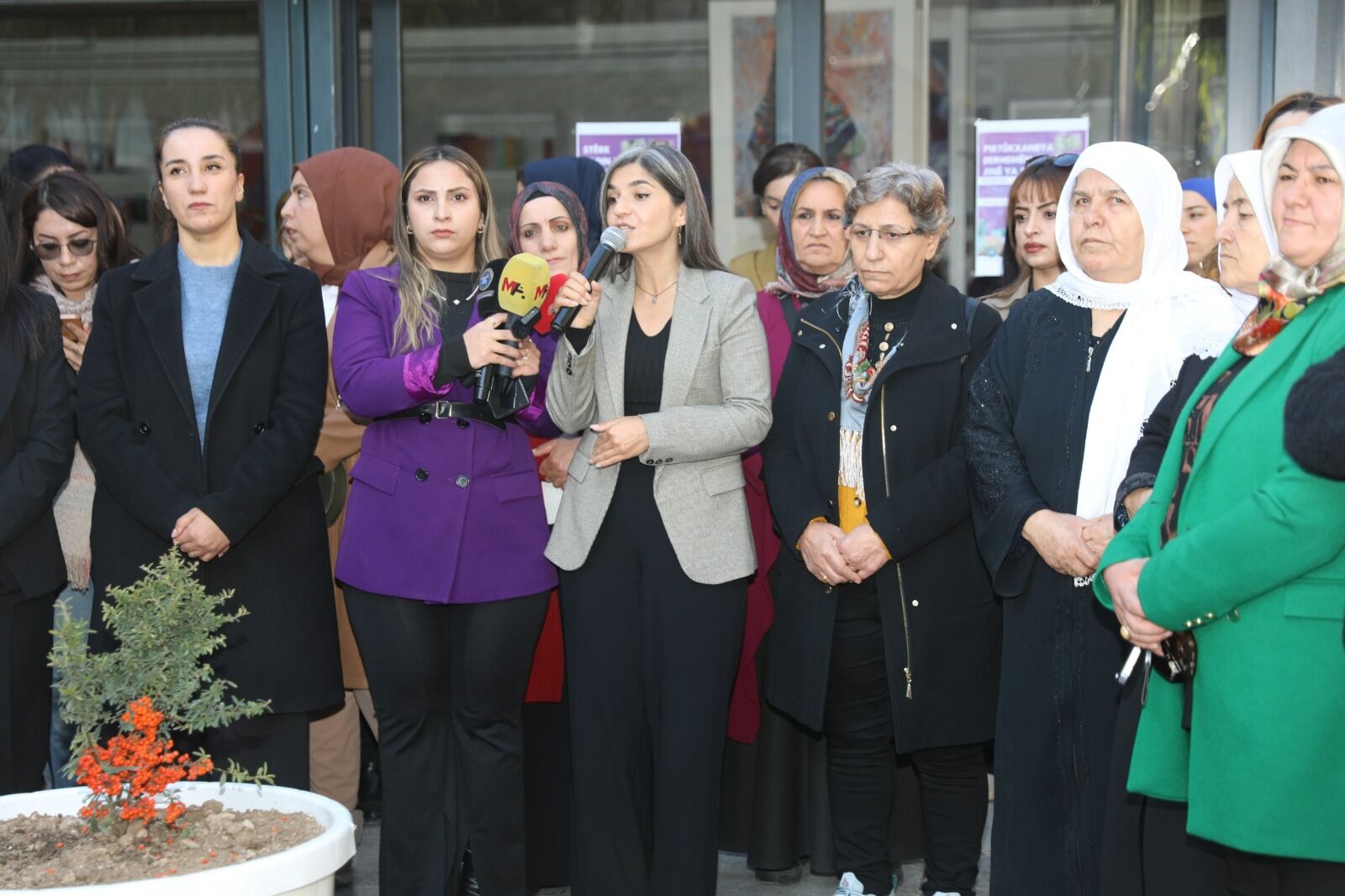25 Kasım 3