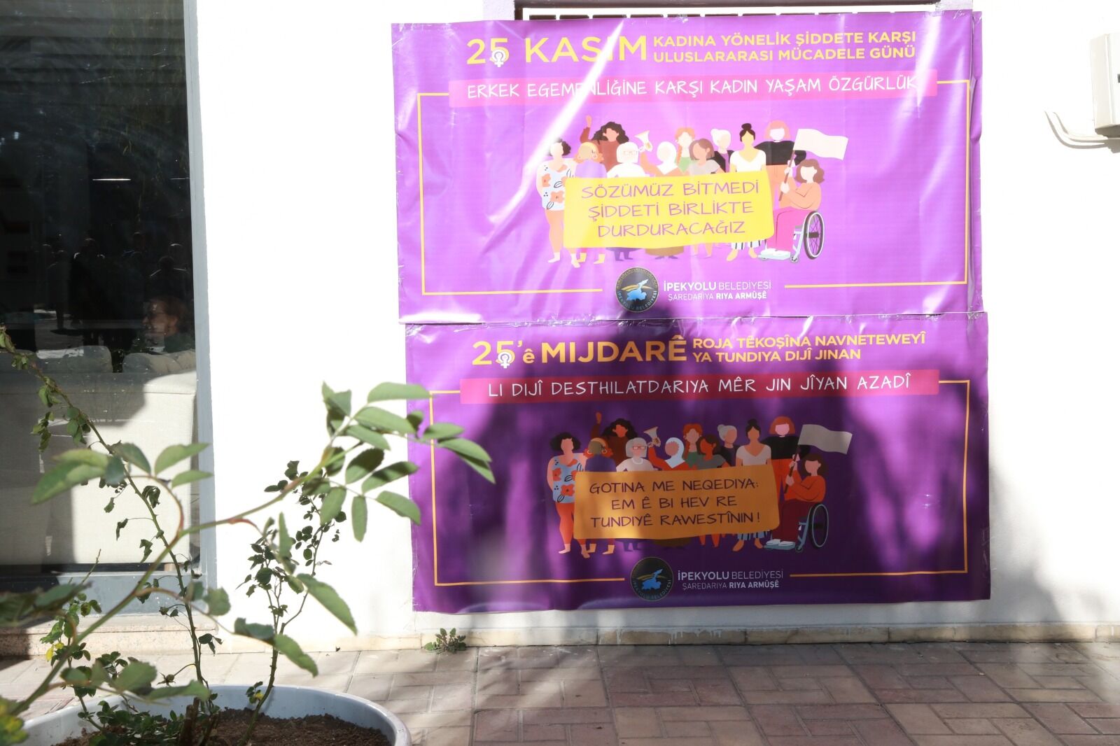 25 Kasım