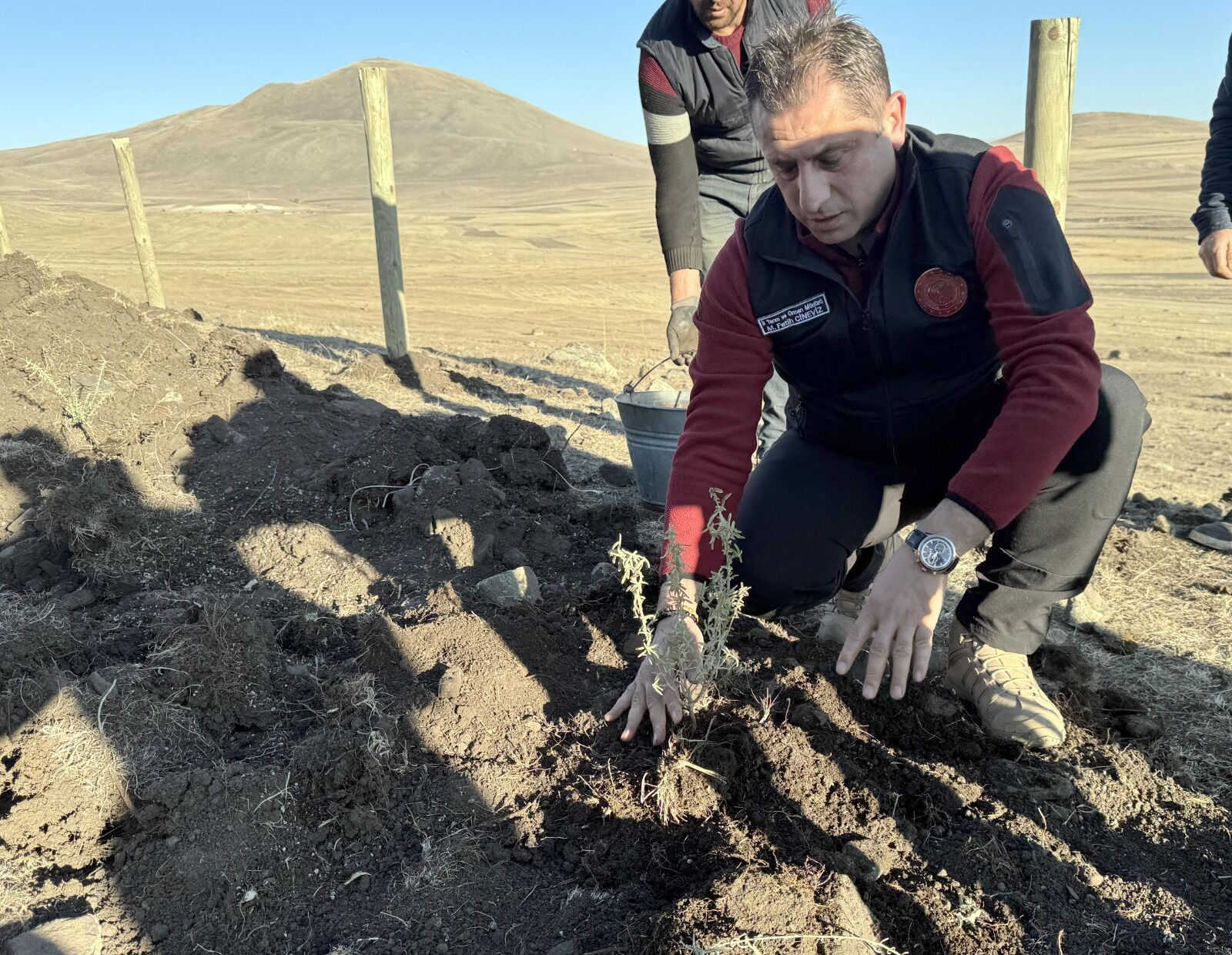 Ardahan 5