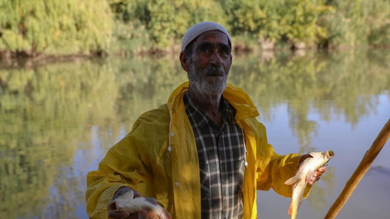 Dicle1