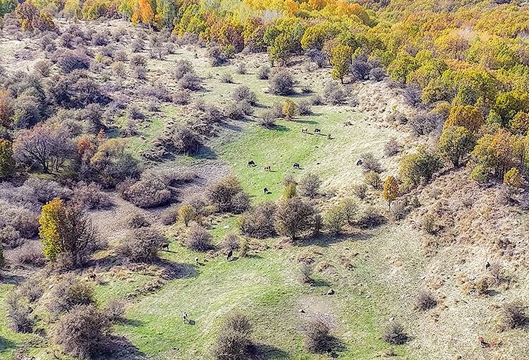 Drone3