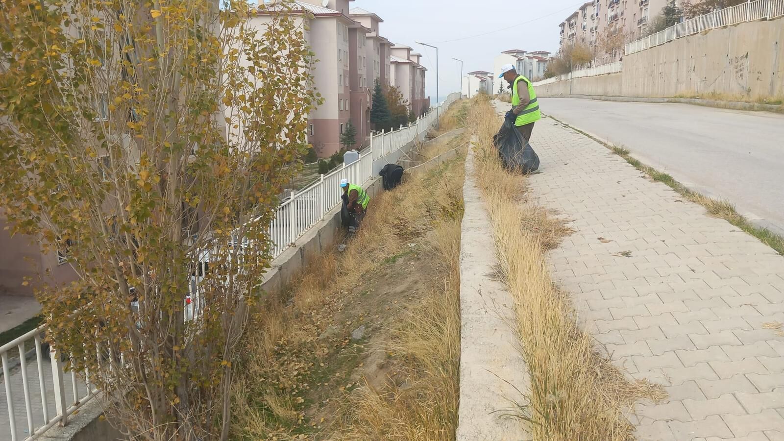 Edremityol (2)