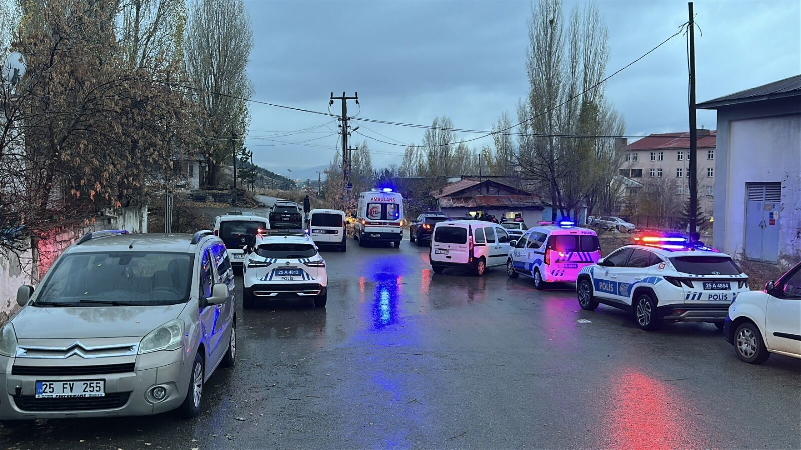 Erzurum 1