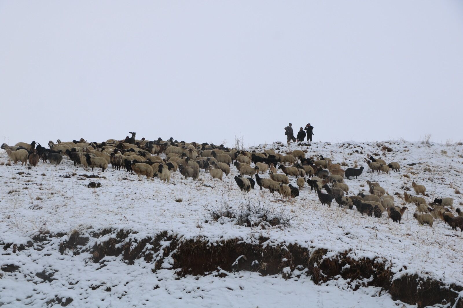 Hakkari Kar (2)