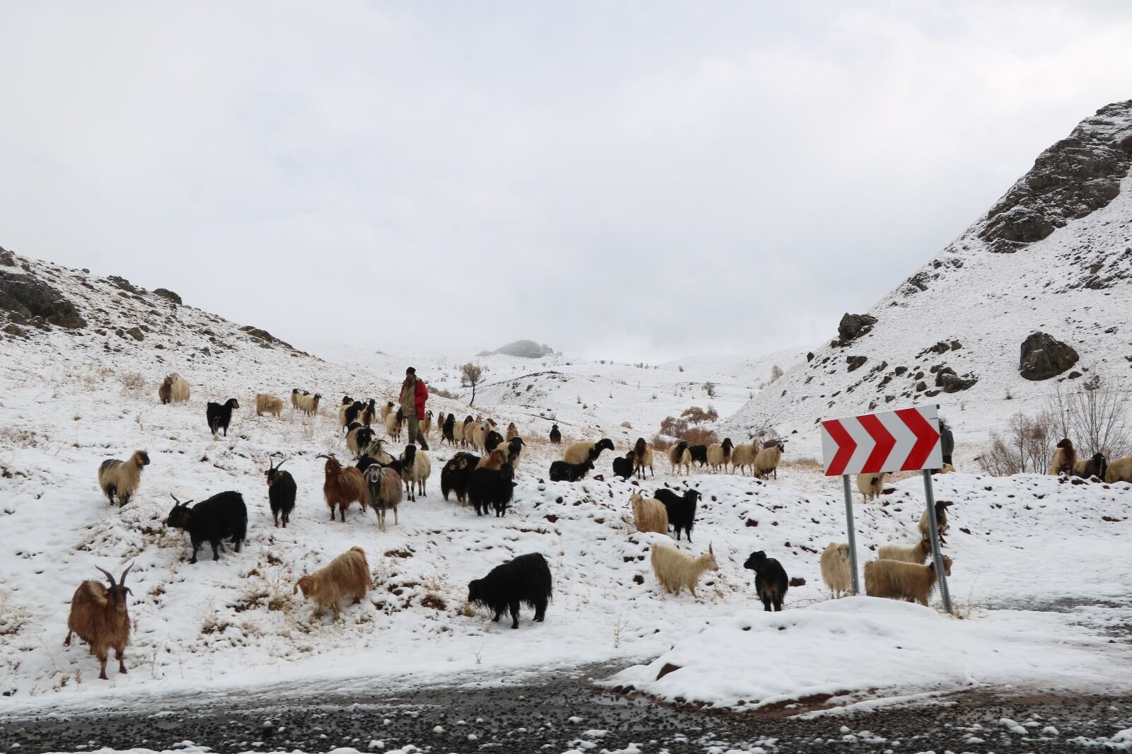 Hakkari Kar (3)