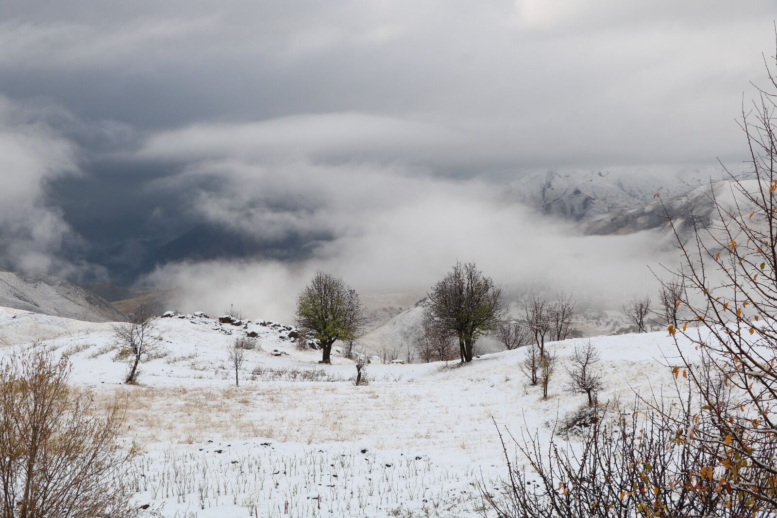 Hakkari Kar