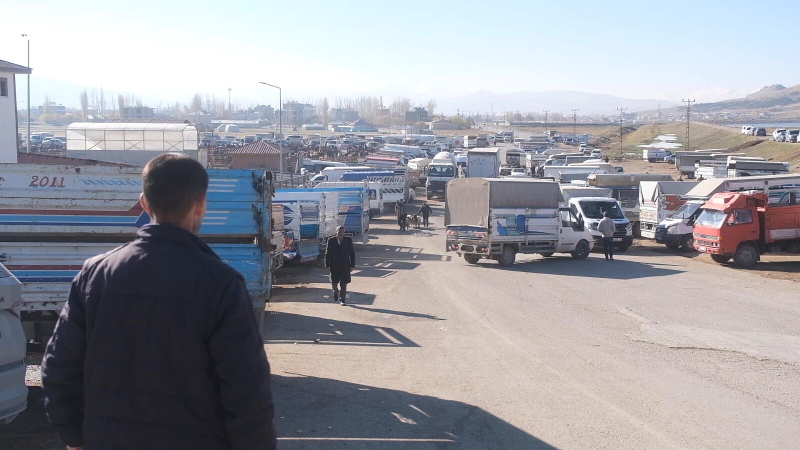 Hayvan Pazarı