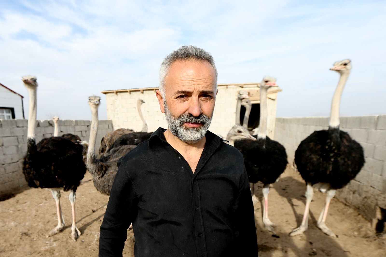 Metin Tetik