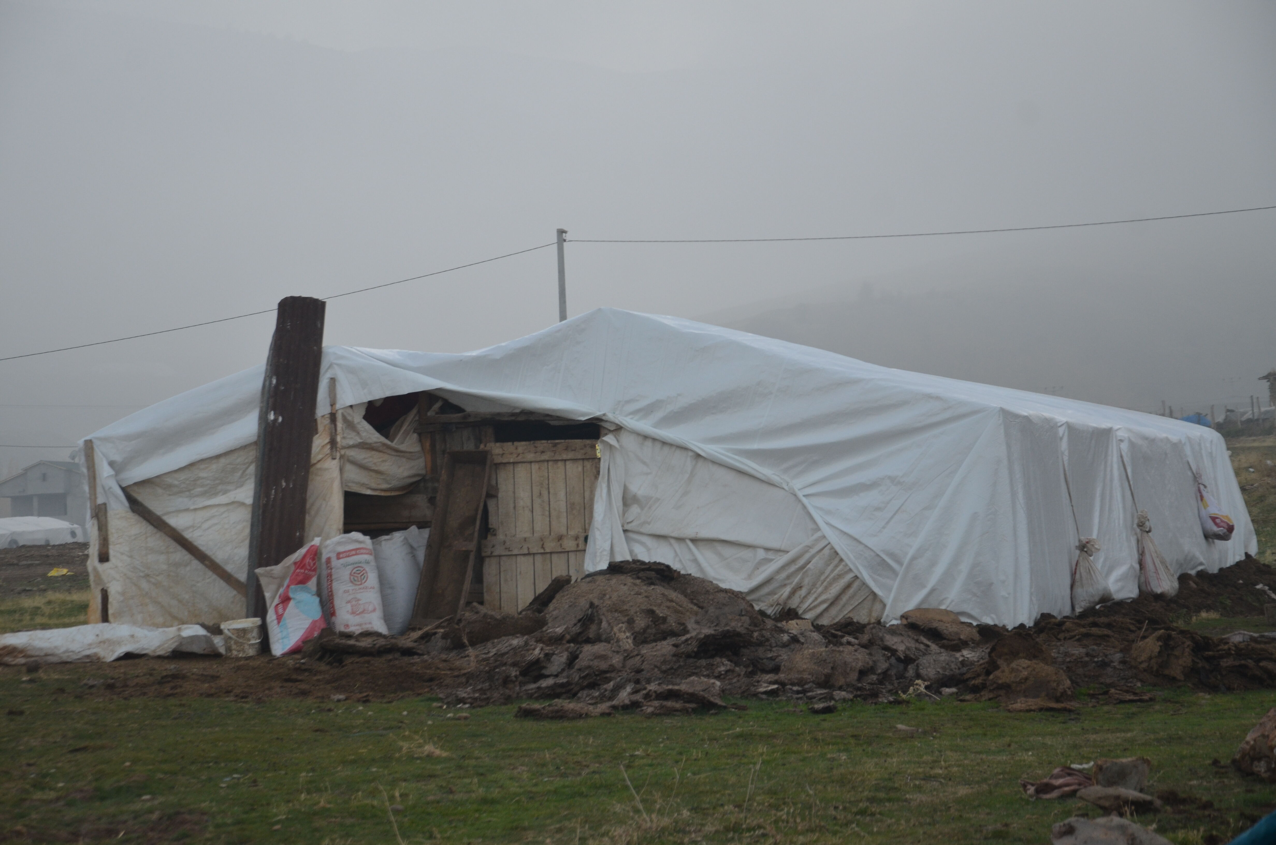Muş (2)