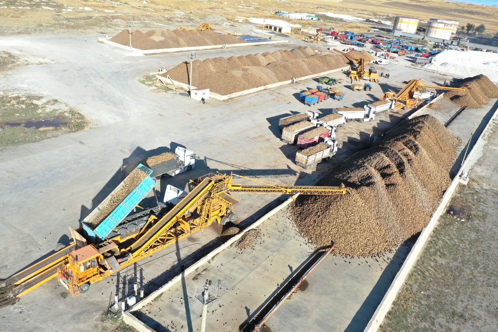 Tarım 2
