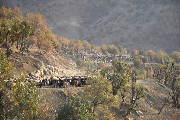 Vangöç (4)