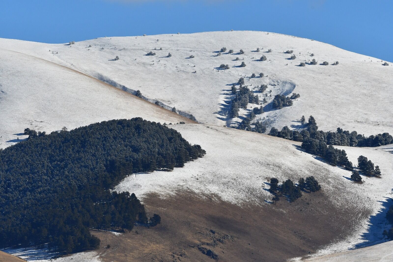 Ardahan-1