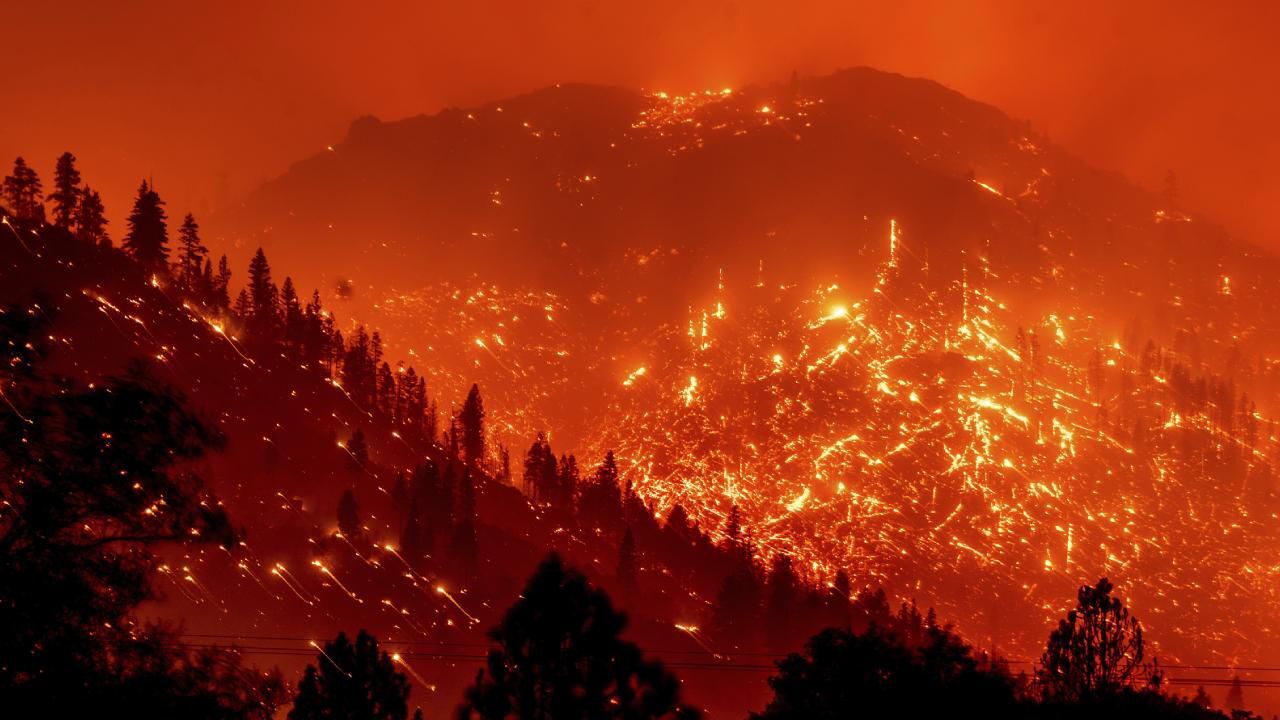 California Yangın
