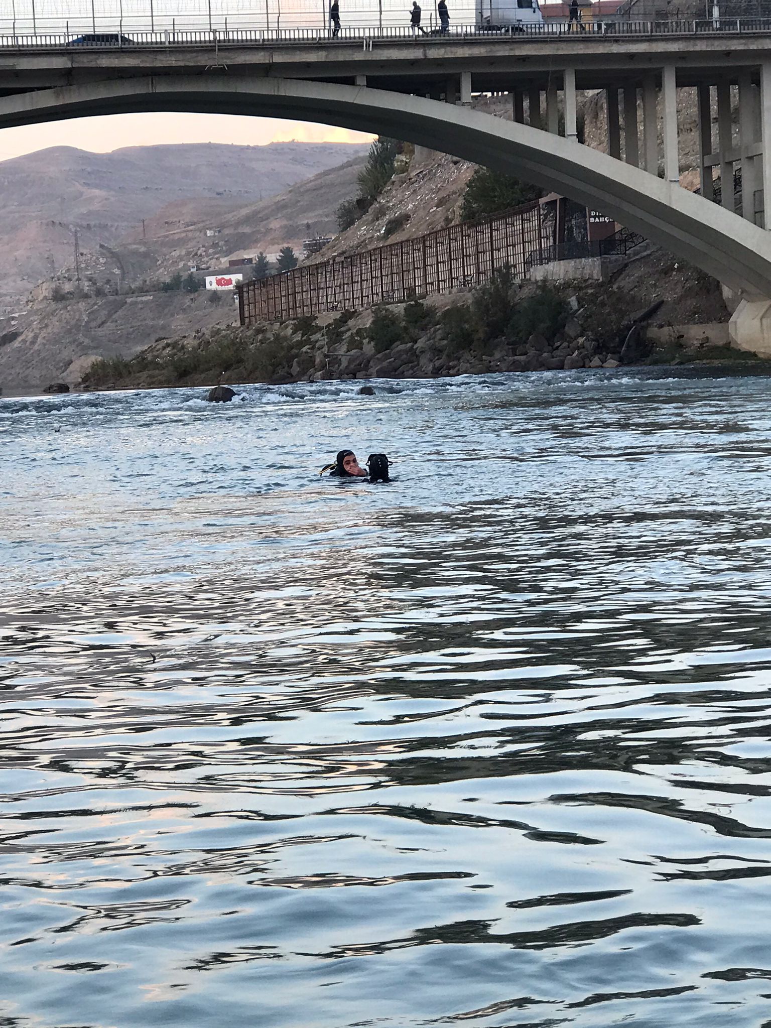 Dicle (1)