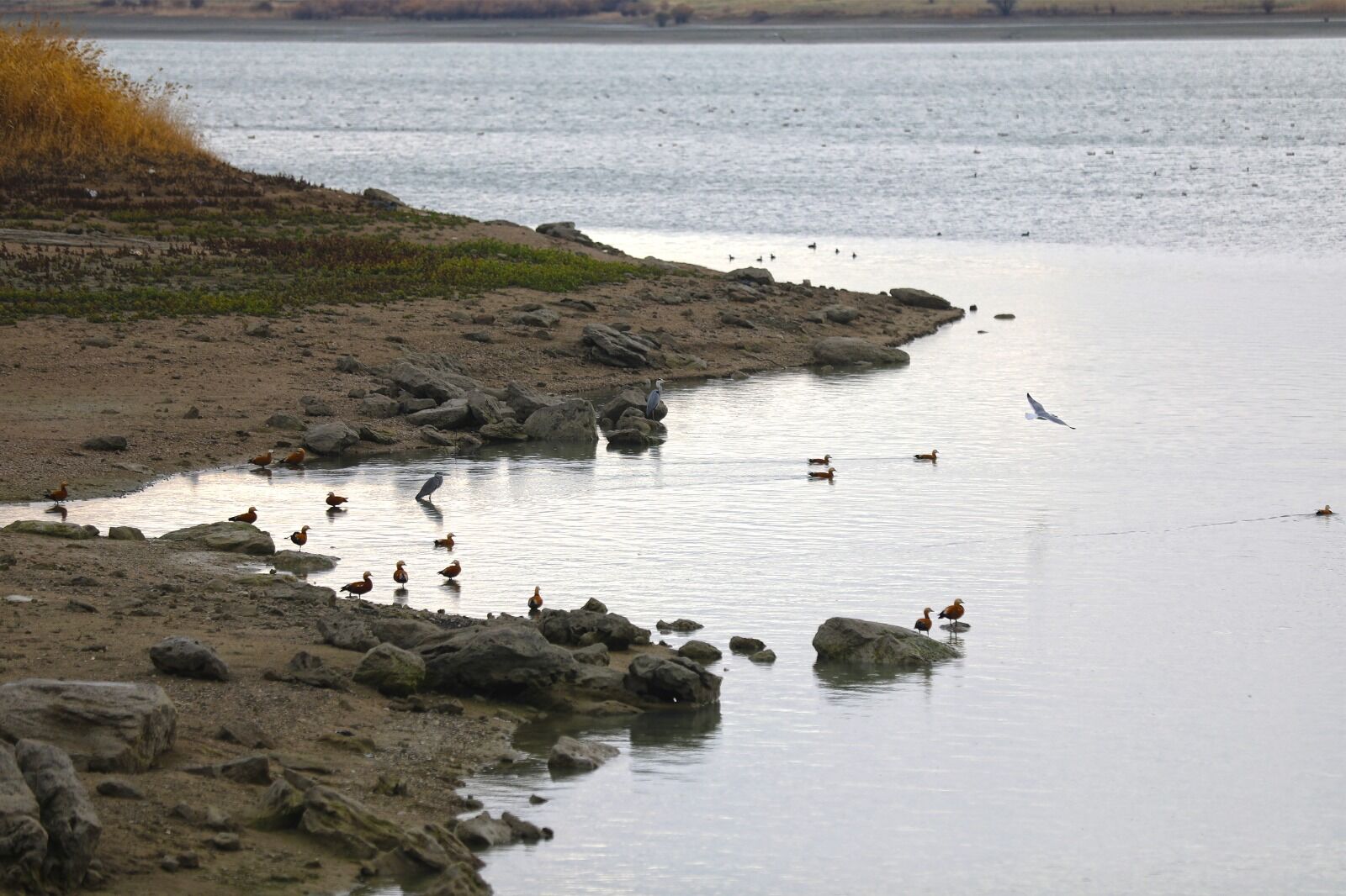 Elazığ Cip Barajı (7)