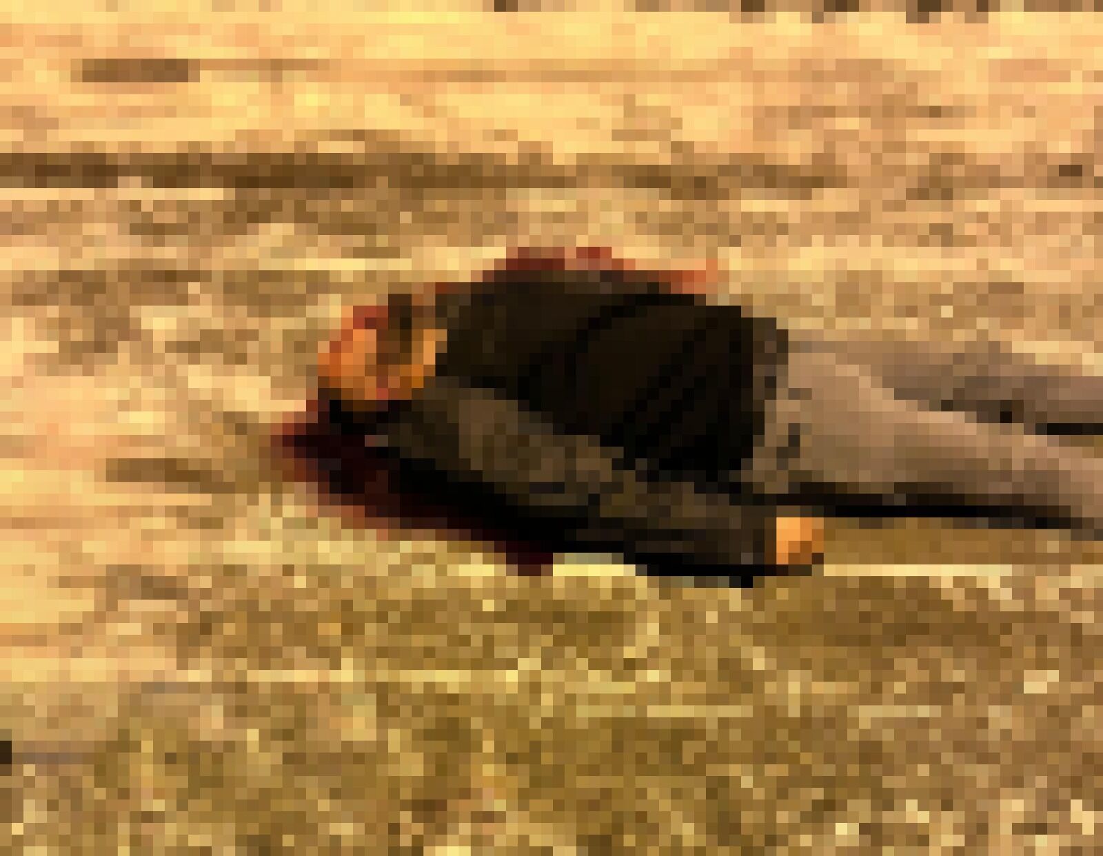 Erzurum Evinin Önünde Öldürülen Adam 1