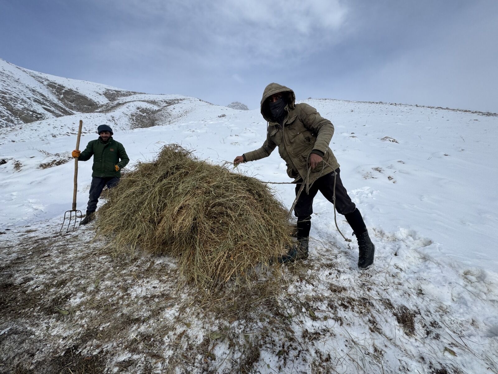 Hakkari Hayvan (2)