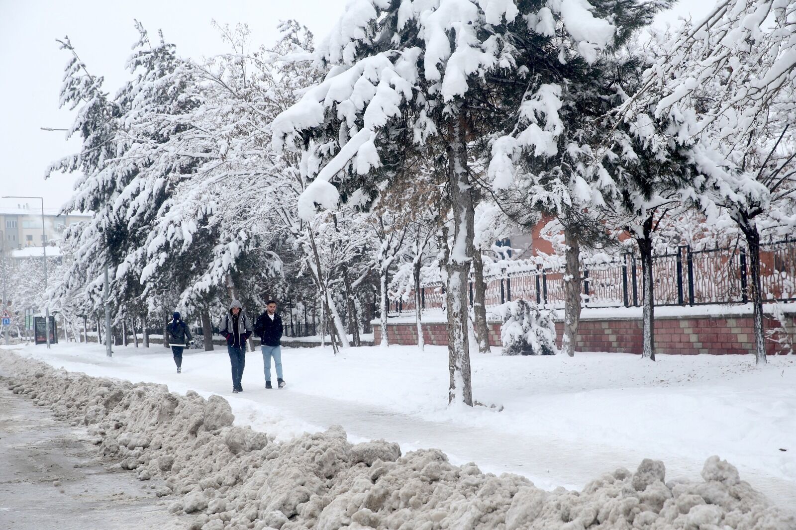 Kar Yağışı Aa 29 Aralik (1)