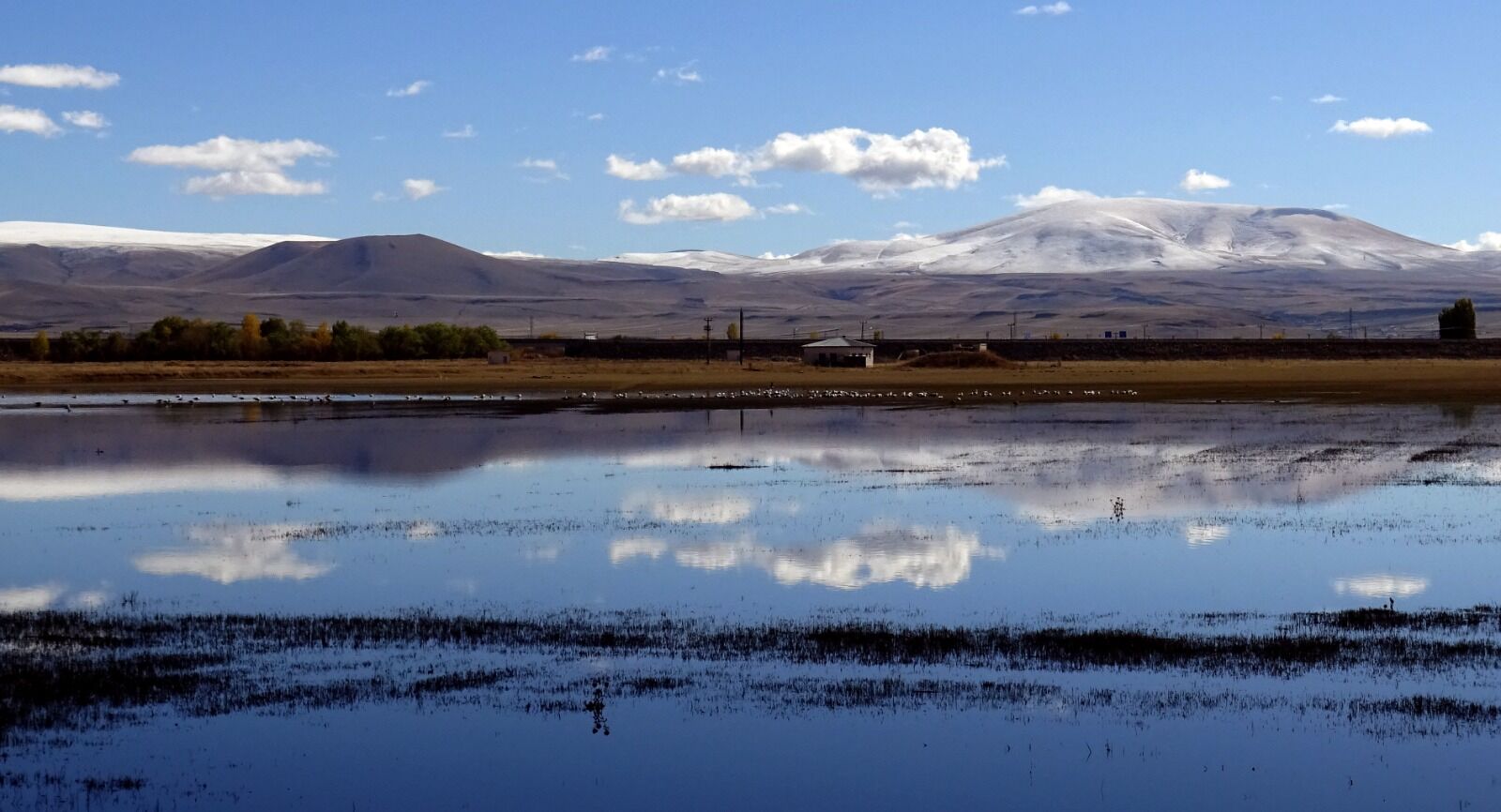 Kars-5