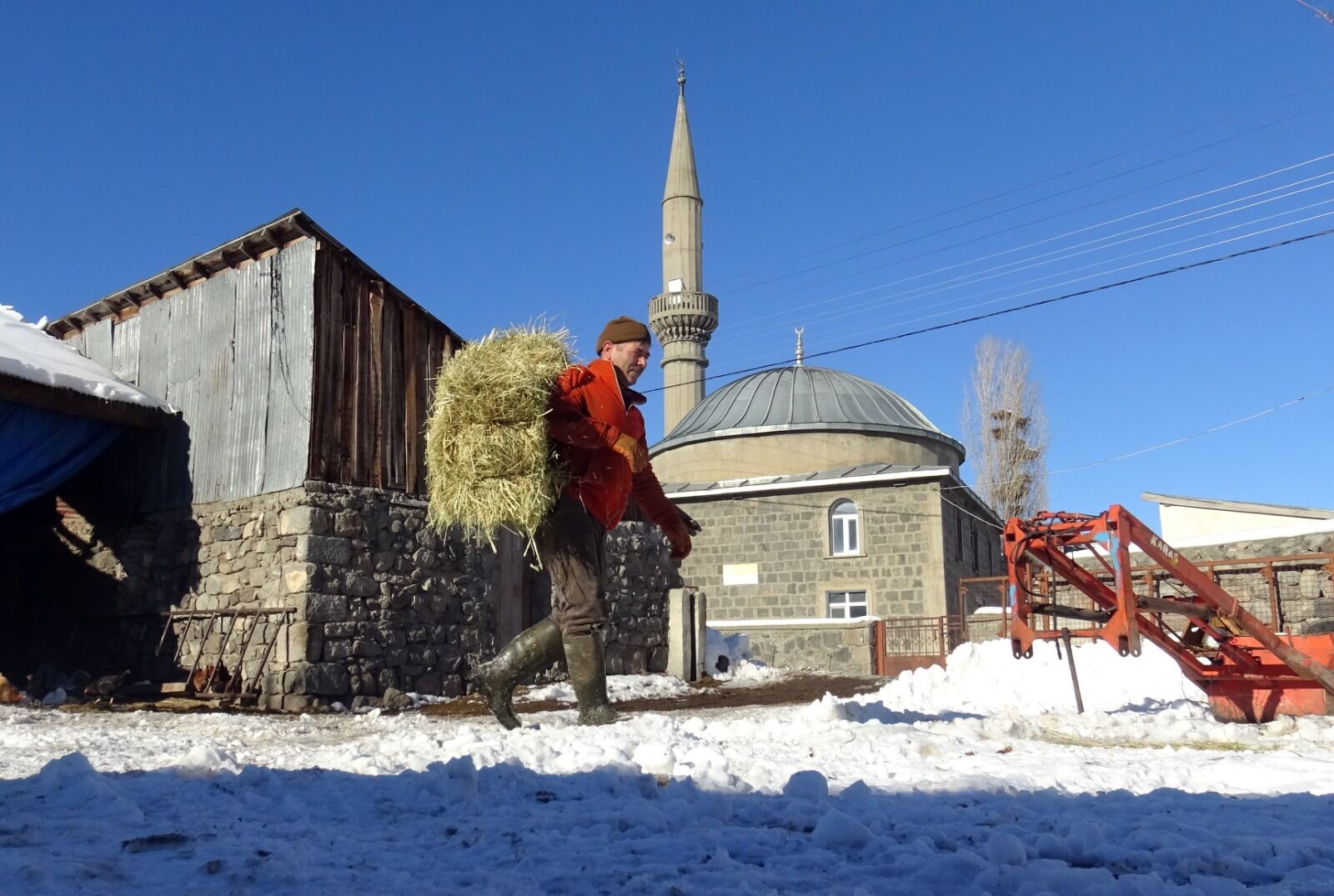 Kars Besici (4)