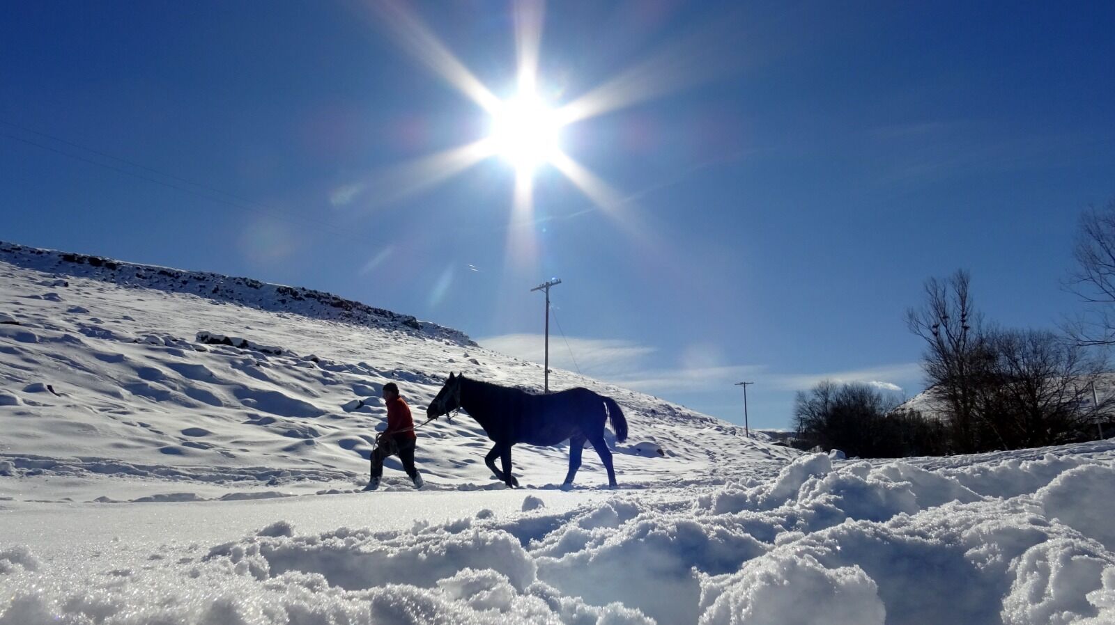 Kars Besici (5)