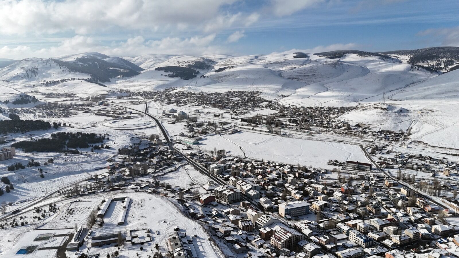 Kars Sarıçam Ormanı1