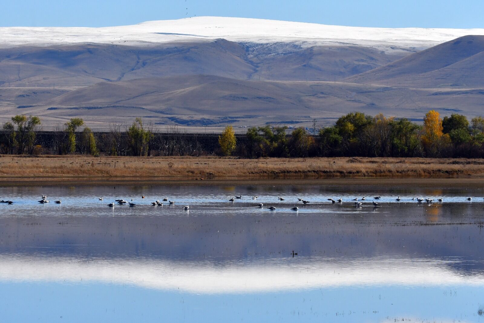 Kars Su