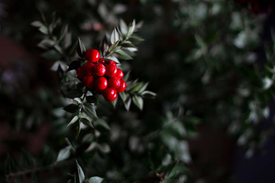 Koki̇na (3)