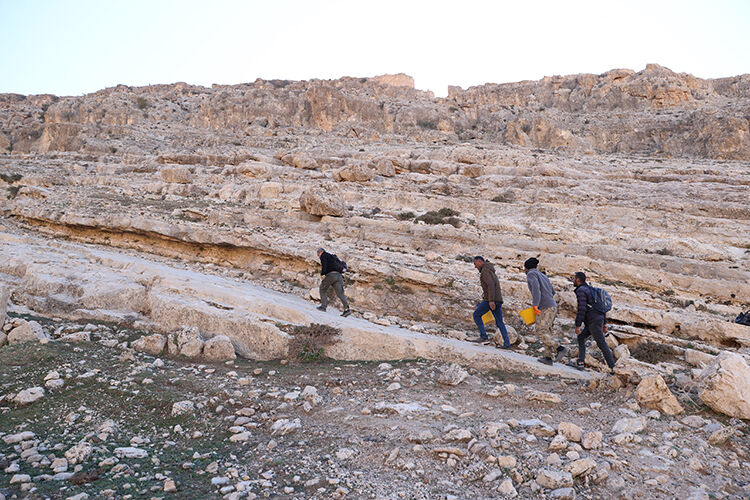 Mardin Kazı5