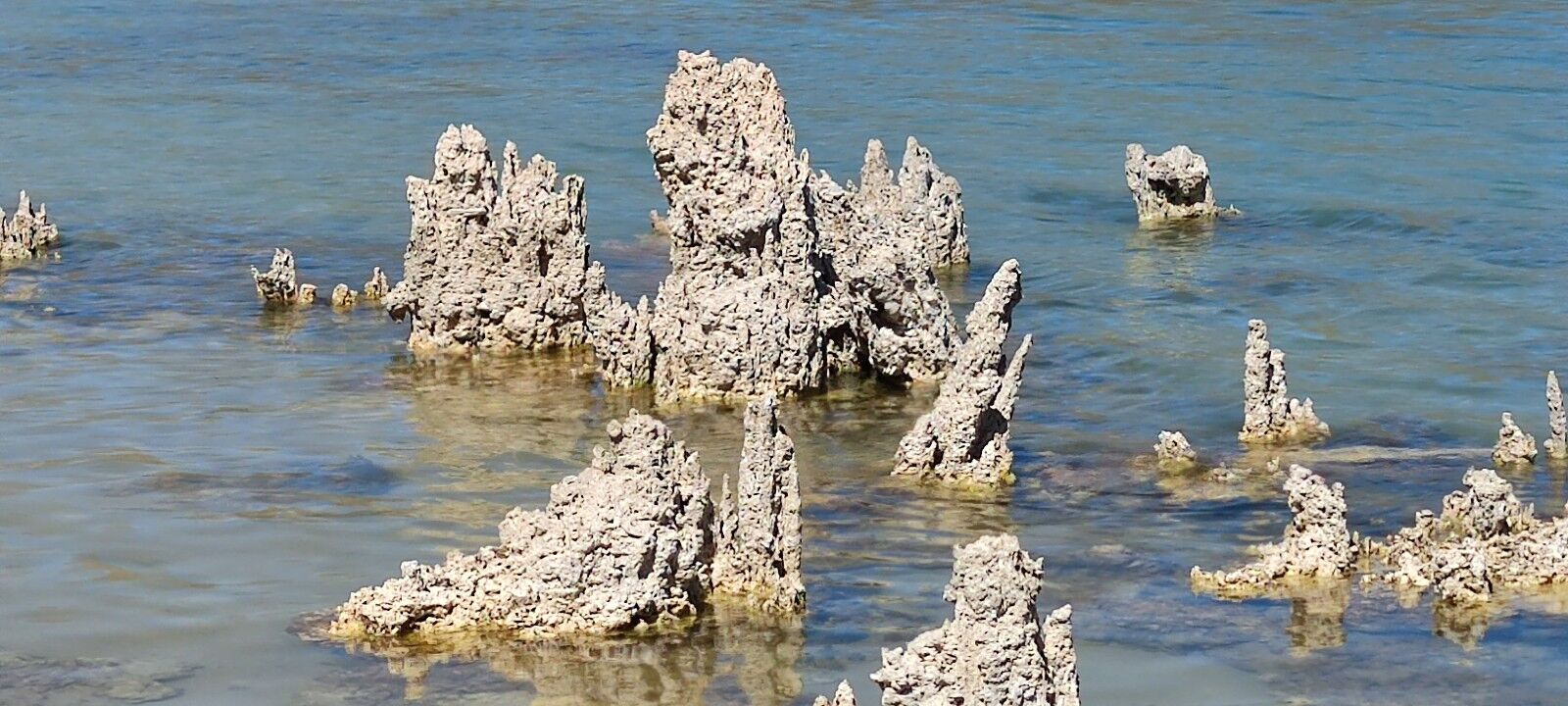 Mikrobiyalit 1-1