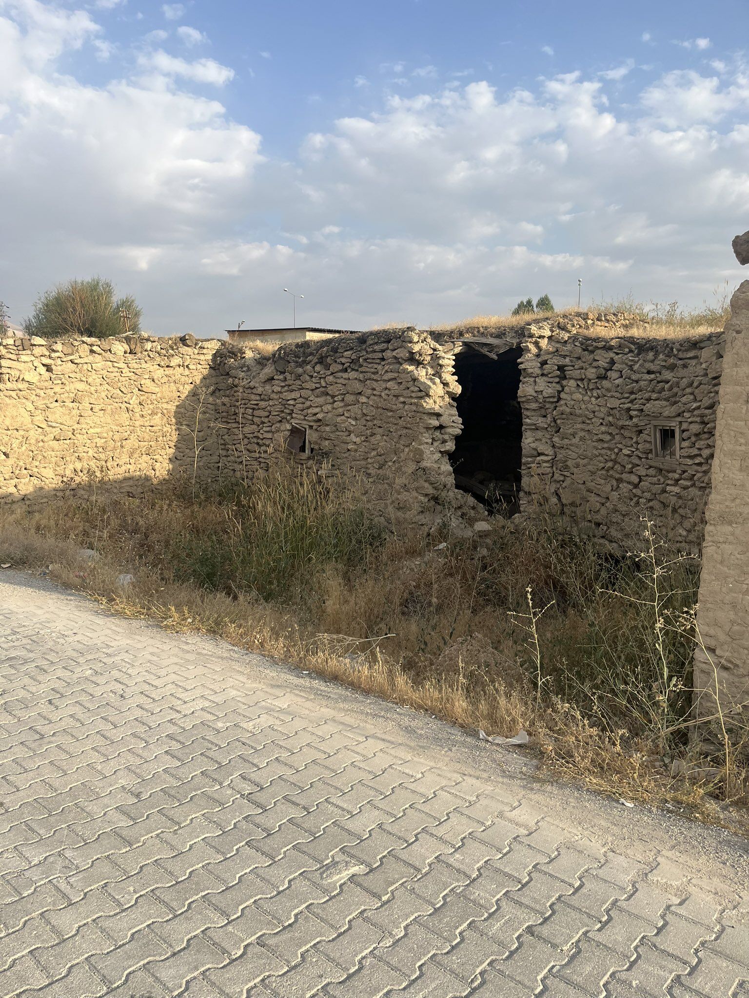 Şamran (2)