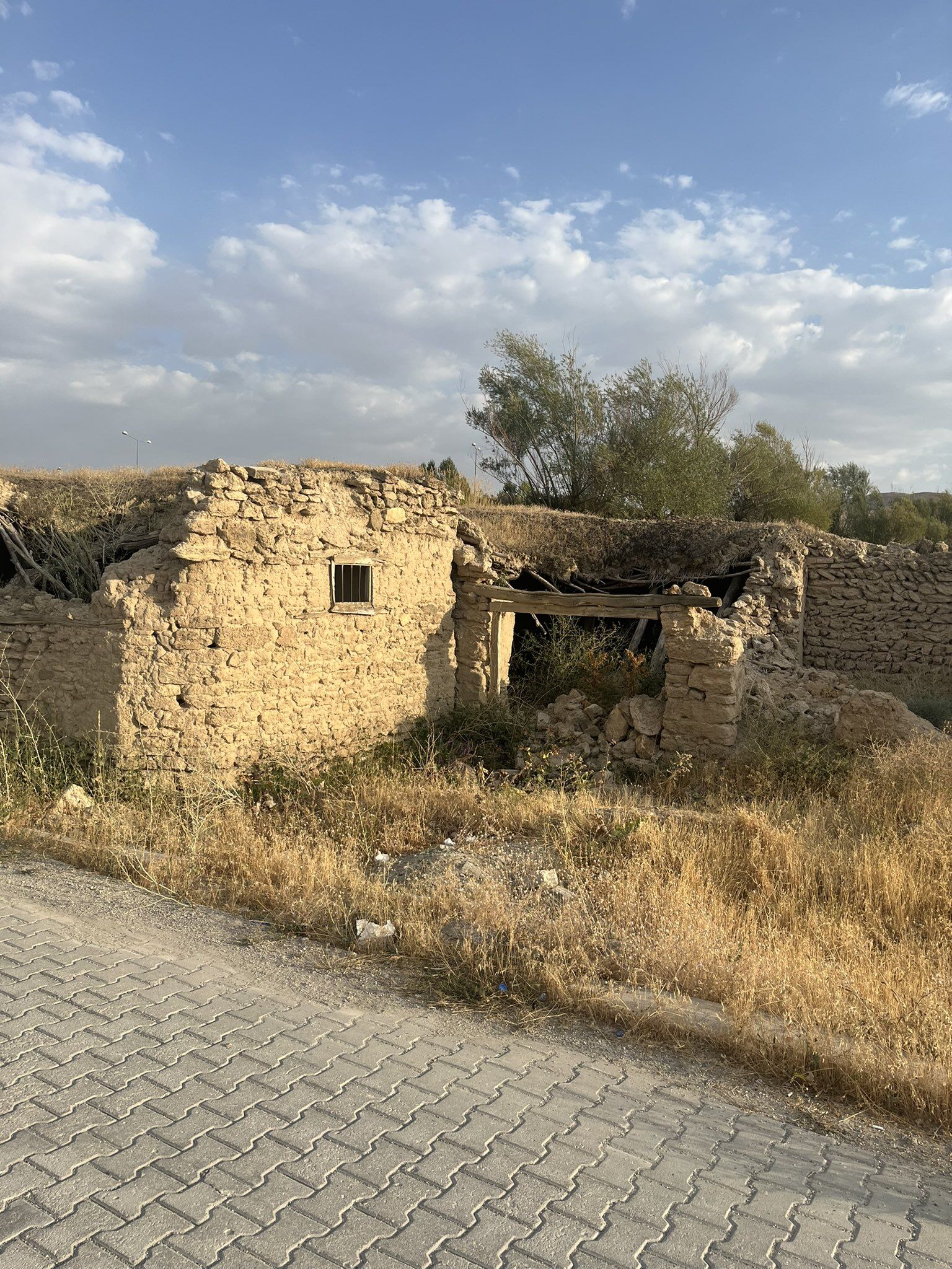 Şamran (4)