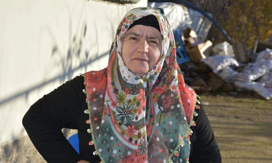 Şırnak Arı