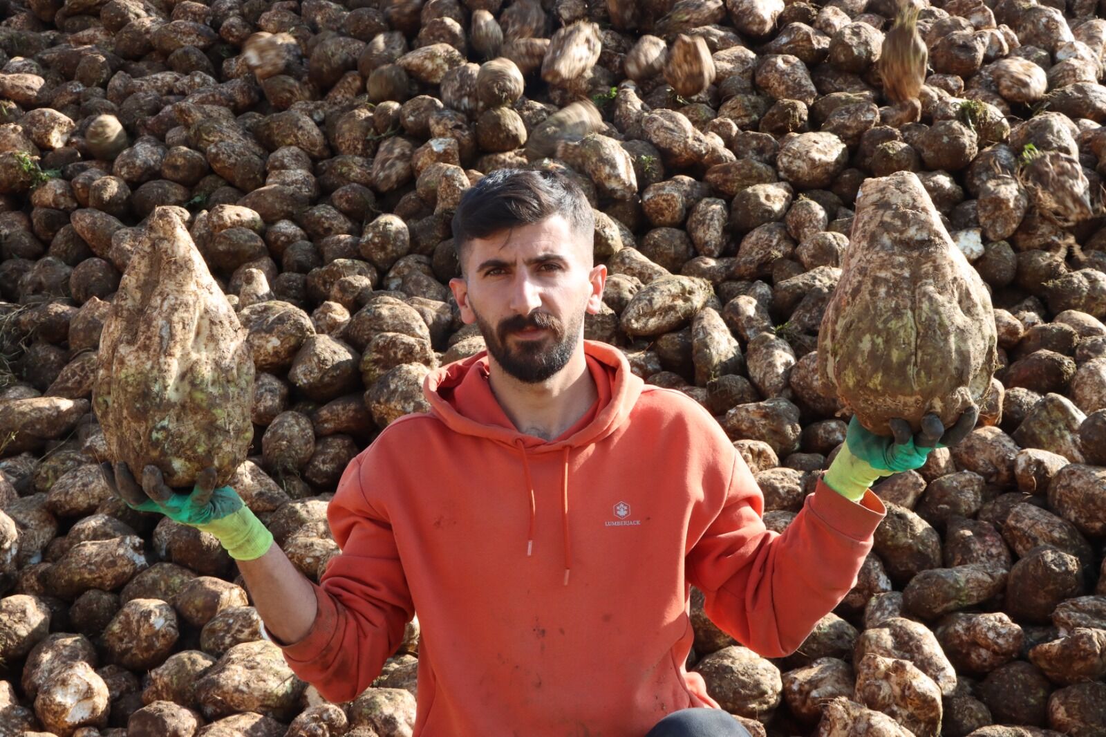 Van Şeker Pancari (7)