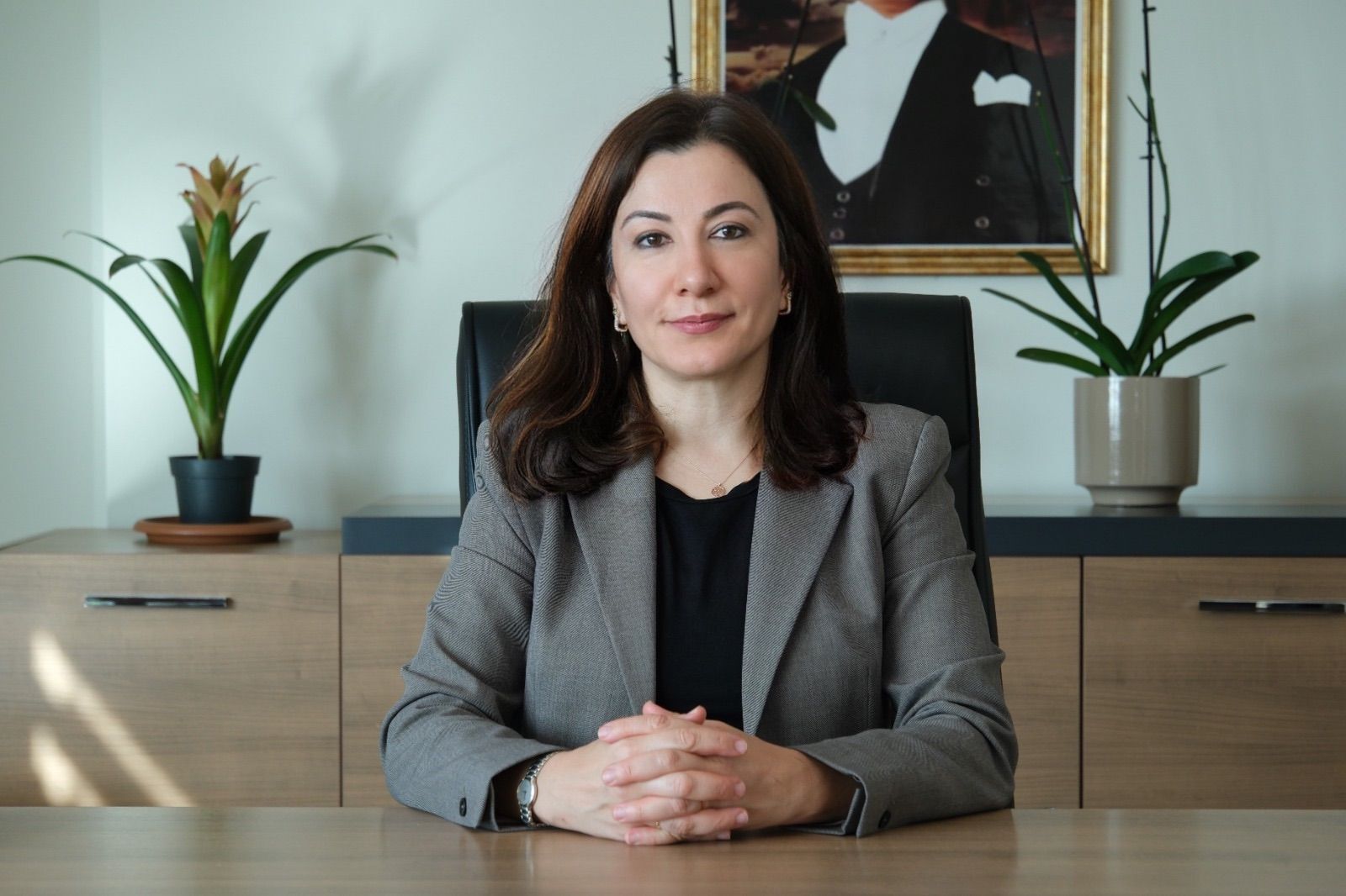 Vedaş (2)-1