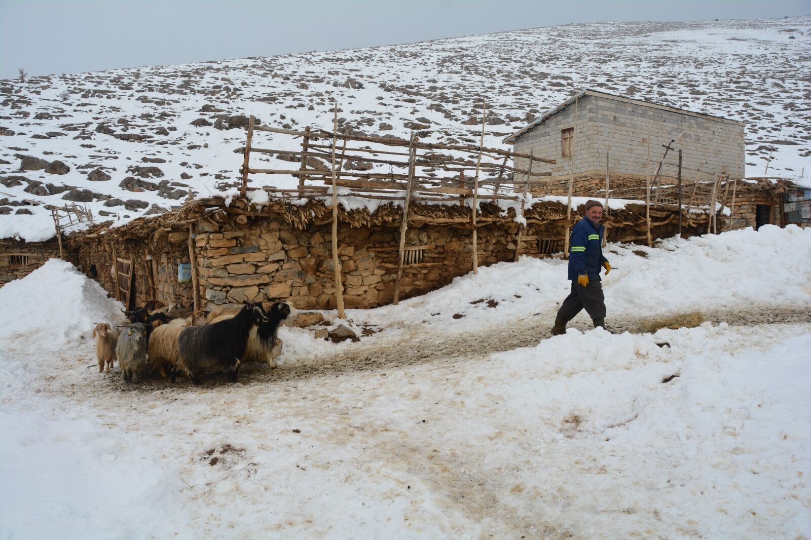 Bitlis Besici Mesaisi1