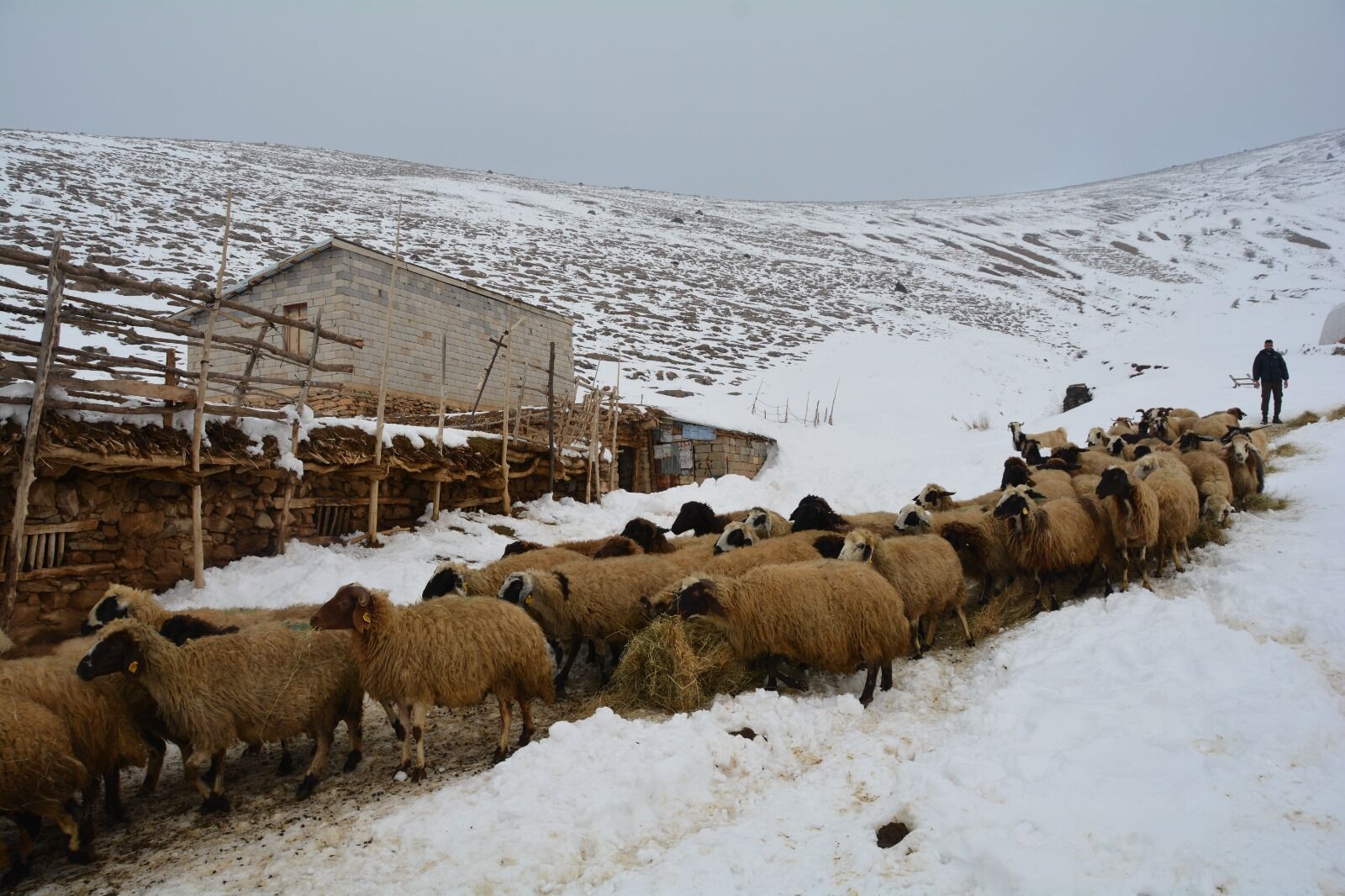 Bitlis Besici Mesaisi3