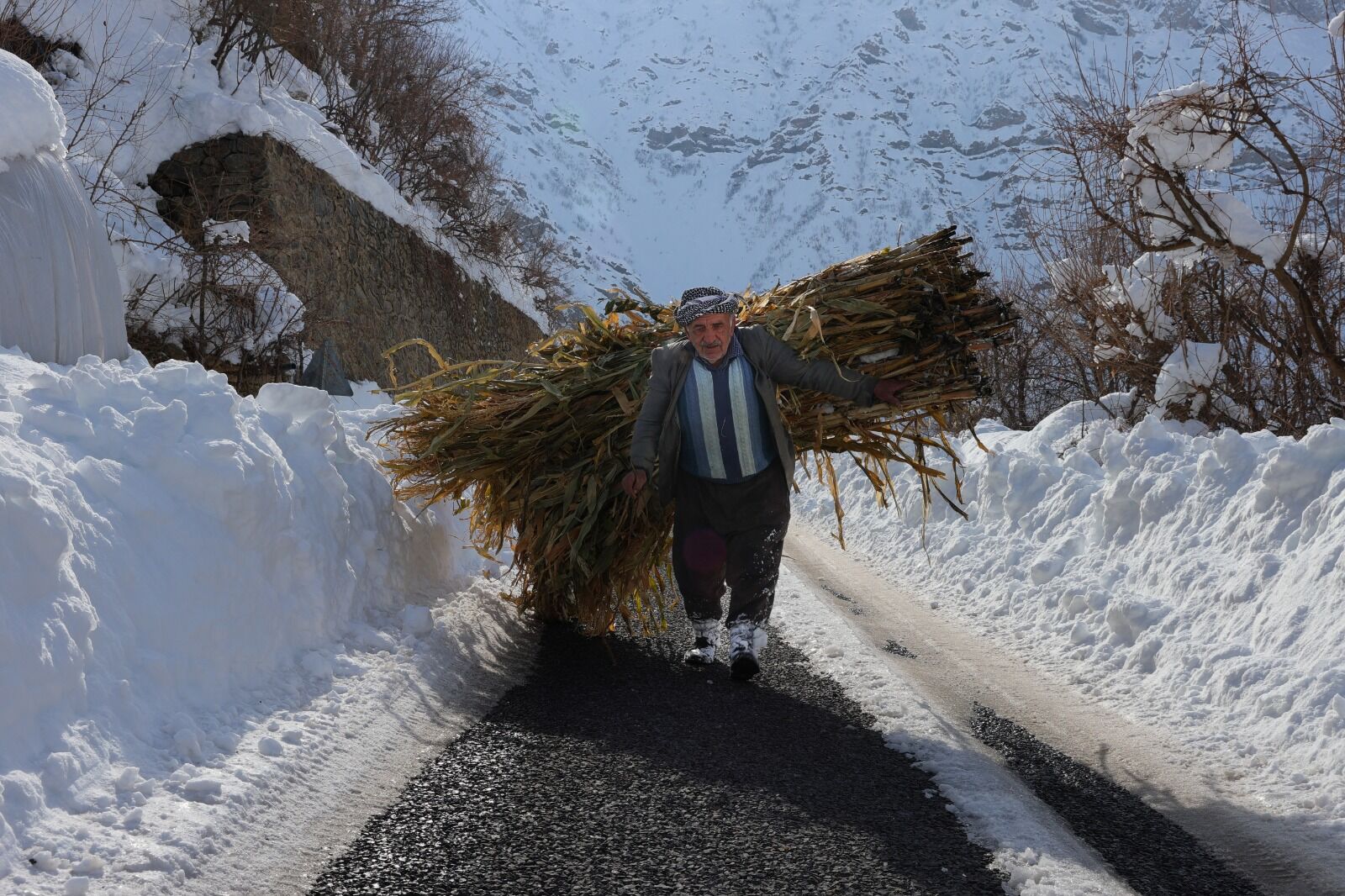 Hakkari̇ Hayvancilik Aa (11)
