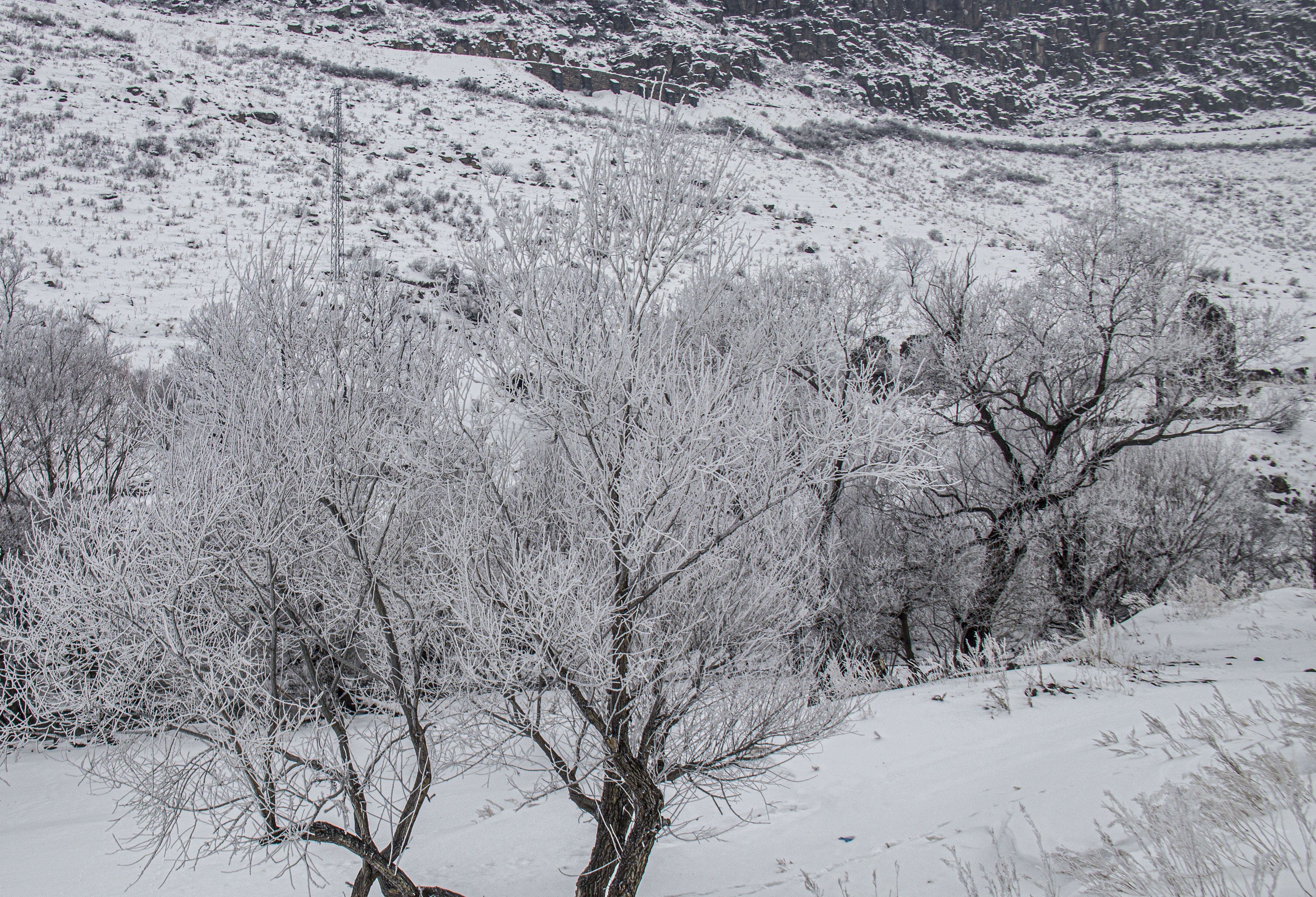 Karsardahan (5)