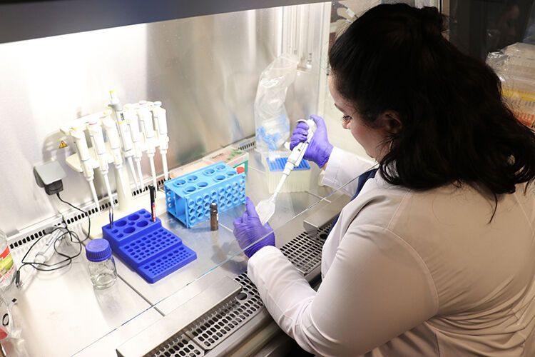 Lab Aa 2