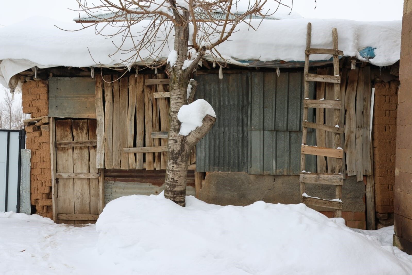 Muş Kar (1)