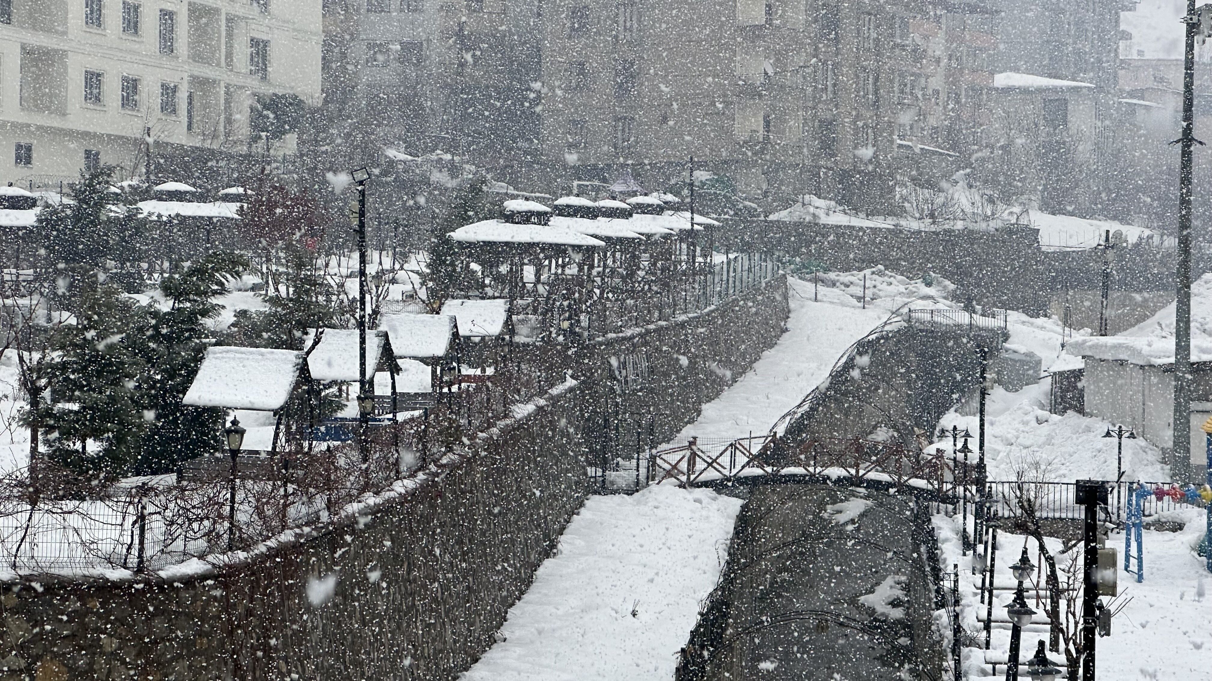 Van Hakkarı (3)
