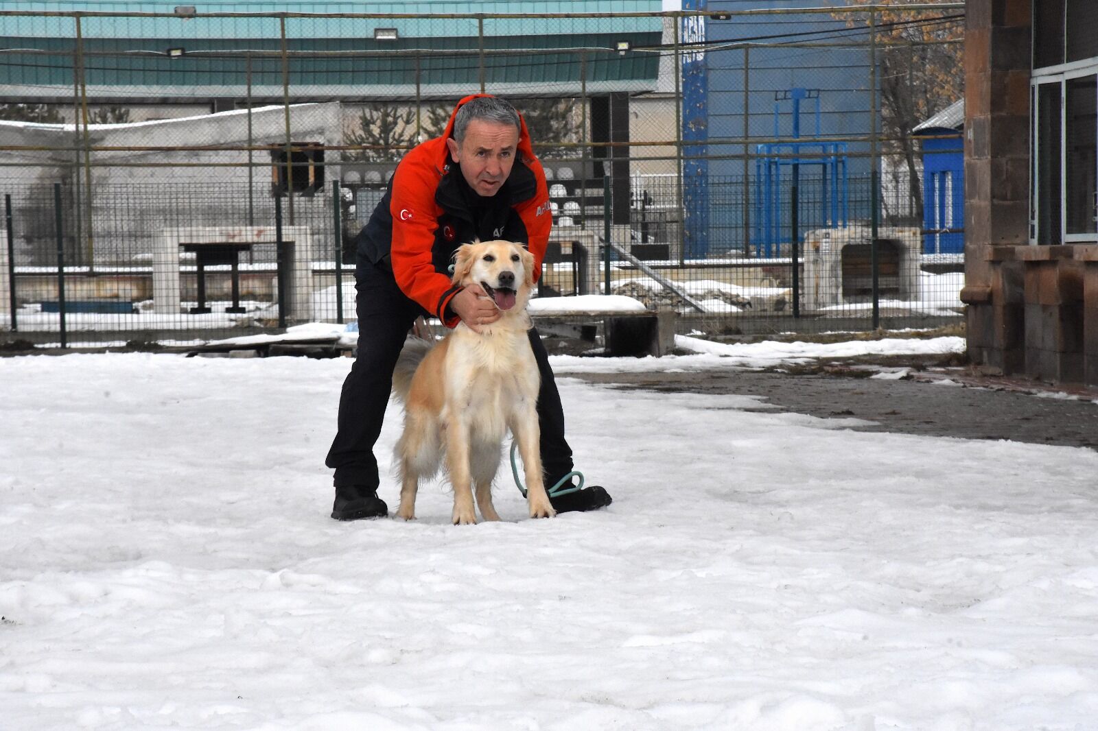Afad Köpek (2)