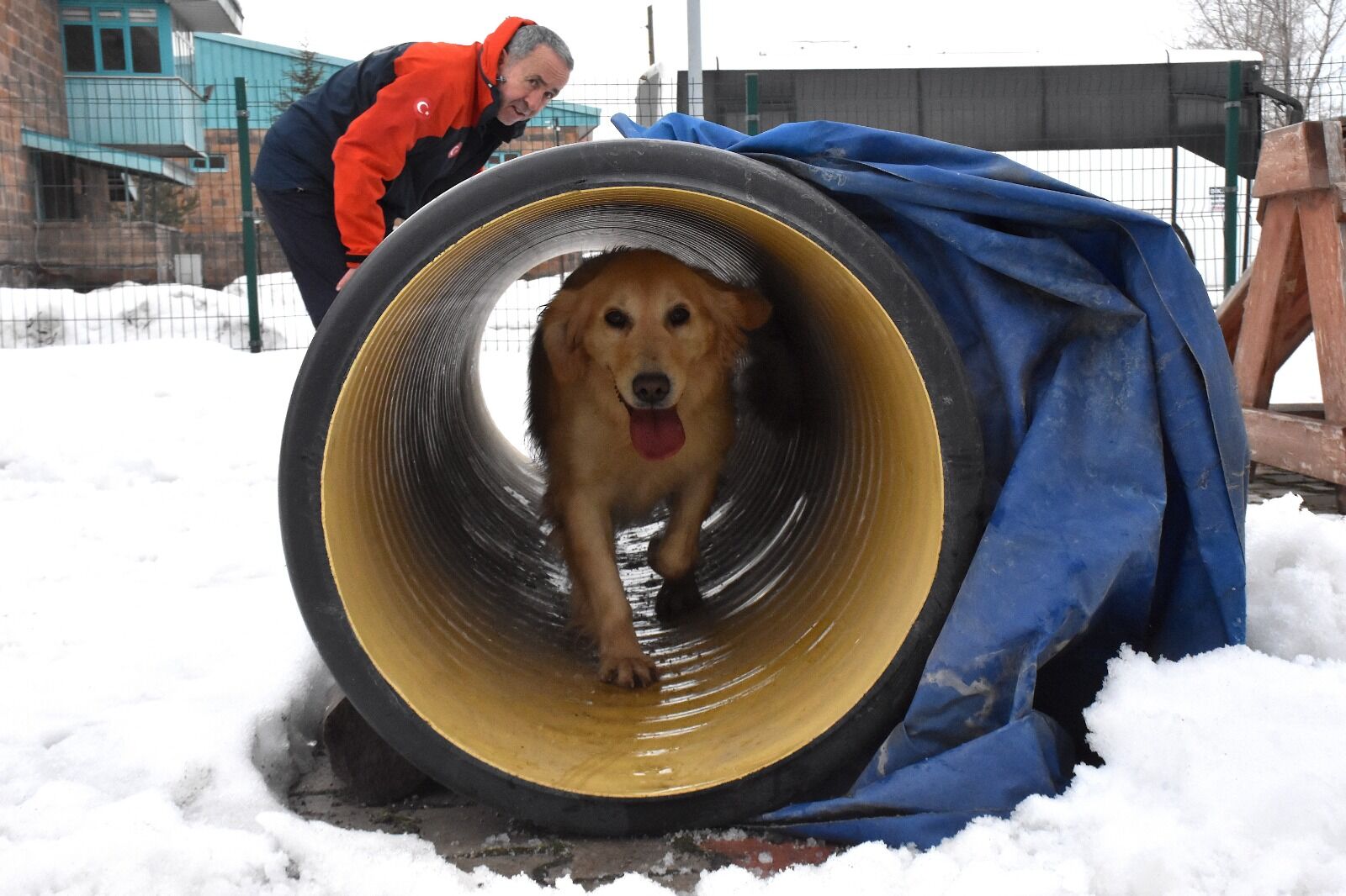 Afad Köpek (6)