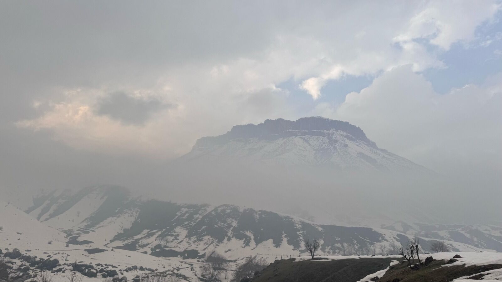 Hakkari Van Sis (2)