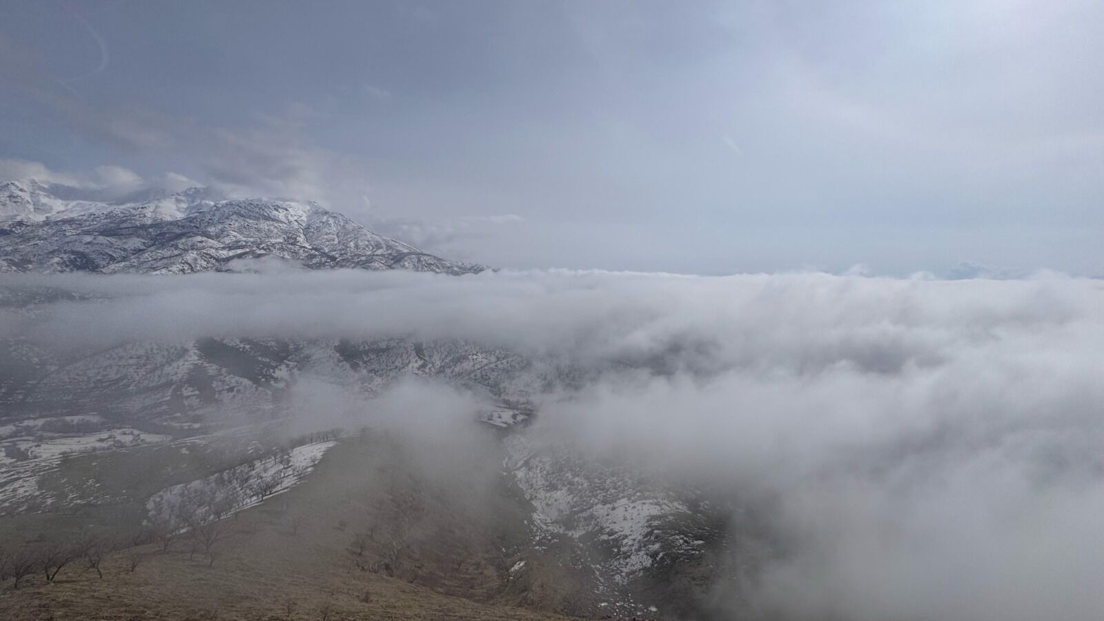 Hakkari Van Sis (5)