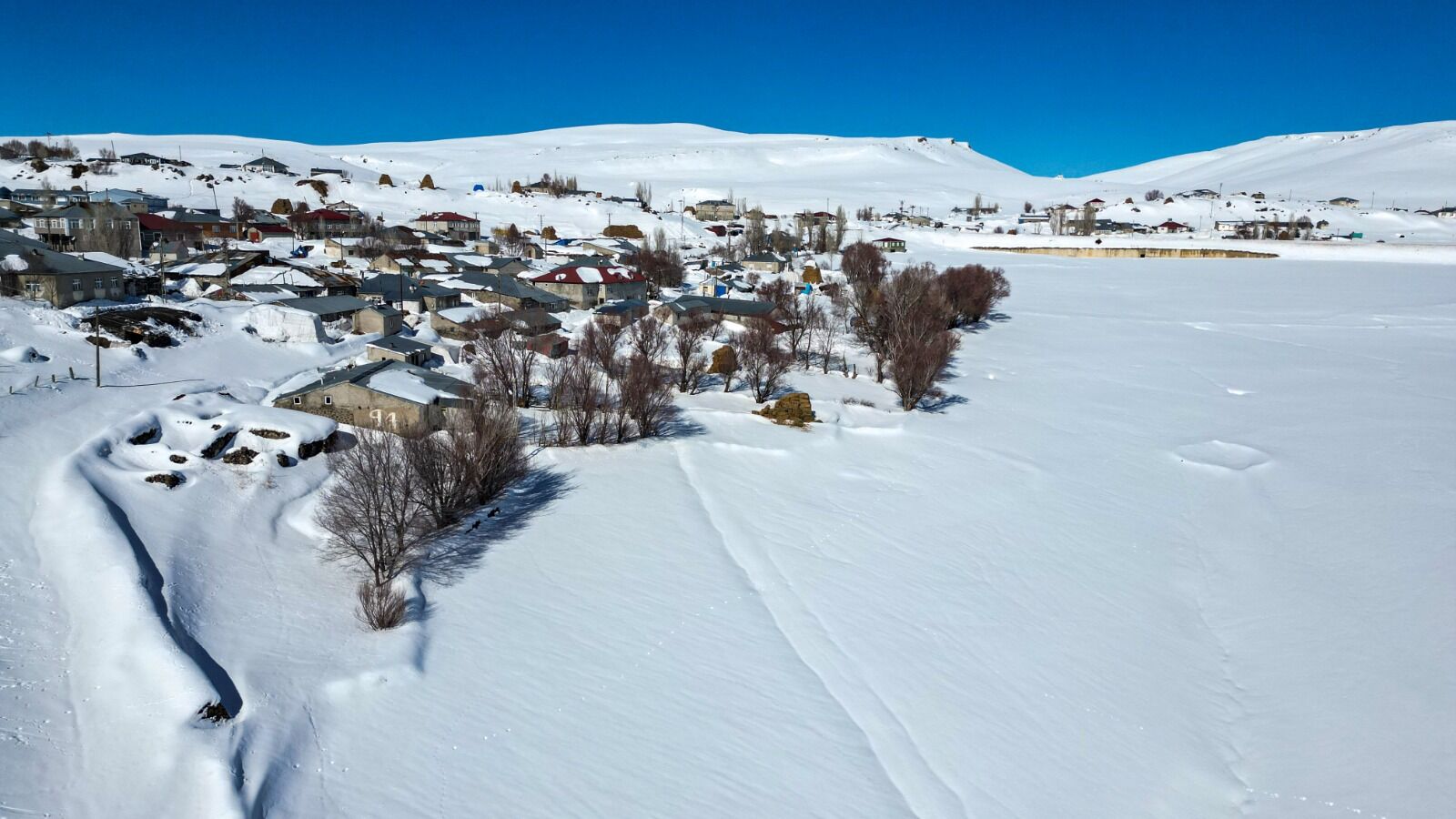 Hayvancılık Erzurum Aa (3)